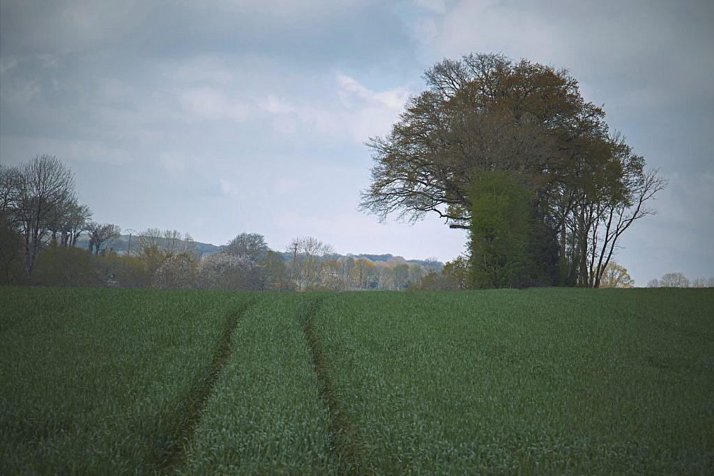La Mayenne vue par Julien Tatham